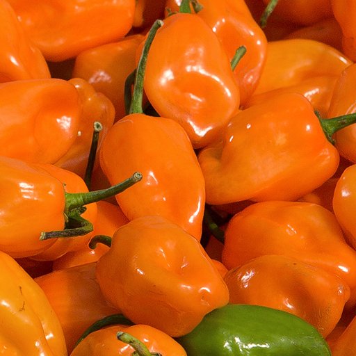 yellow lantern chili